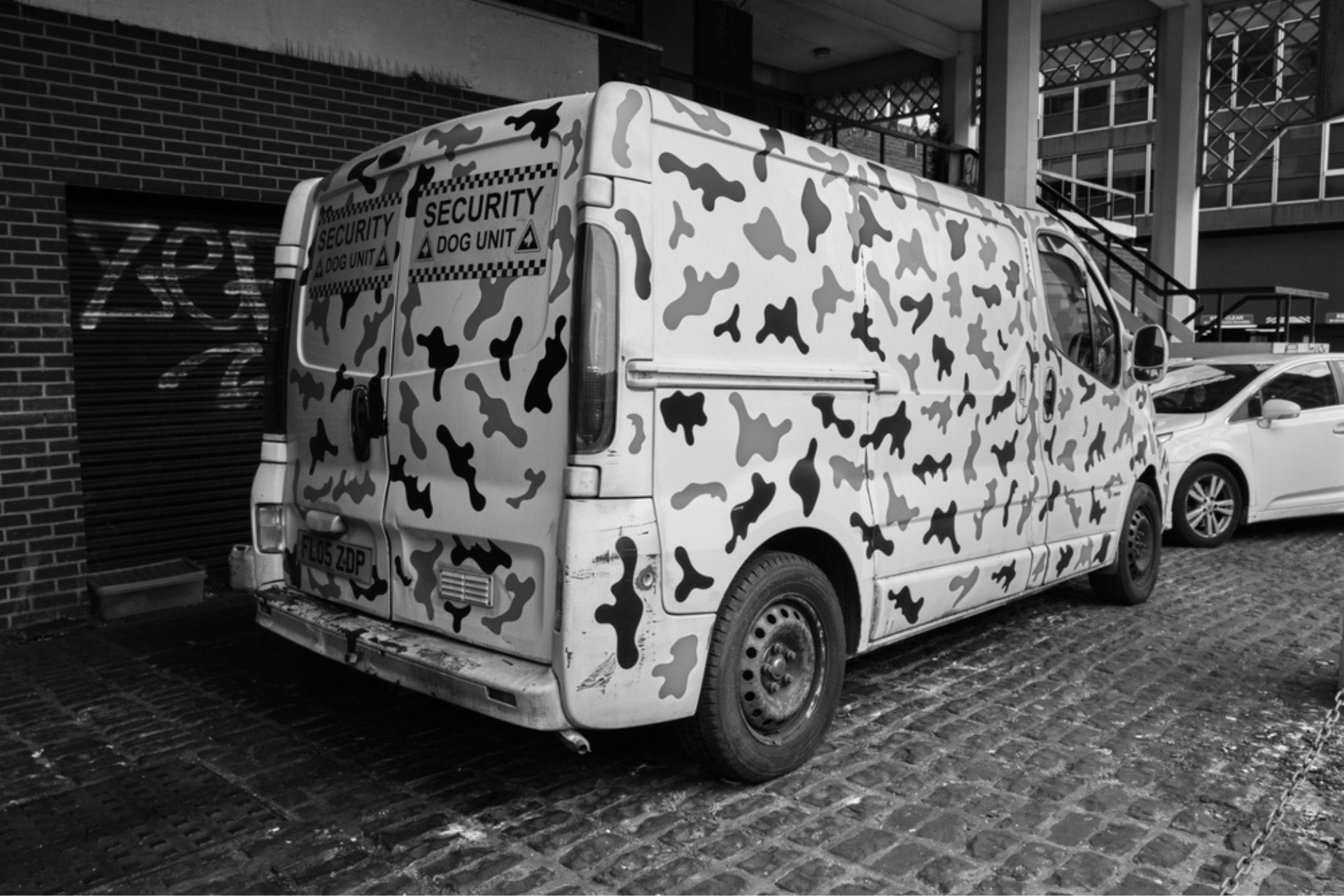 grafica-automezzi-torino